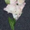 Buchet - 5 fire cu Florile Succesului, Dragostei, Norocului