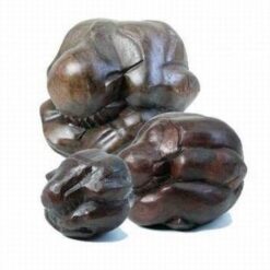 Orang Malu - yoghin meditand, din lemn de suar