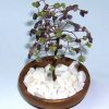 Copacel Feng Shui cu cristale de ametist si olivina
