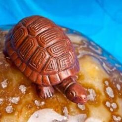 Suport din ceramica, in forma de broscuta testoasa - maro