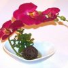 Decor Feng Shui cu orhidee pentru baie