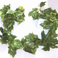 Ghirlanda - iedera - remediu Feng Shui