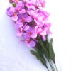 Orhidee Feng Shui - roz/mov - 5 fire