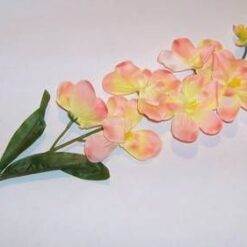 Orhidee Feng Shui - galbena/portocalie