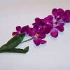 Orhidee Feng Shui - mov