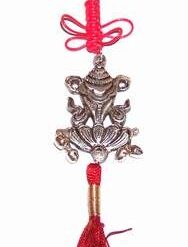 Canaf Feng Shui -Scoica rasucita spre dreapta