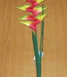 Floarea Feng Shui a banilor