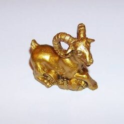 Pui de capra - ied, auriu, pe monede