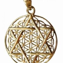 Pandantiv cu Floarea Vietii si hexagrama