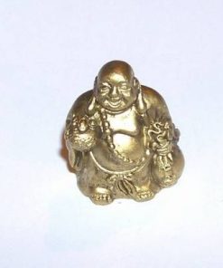 Statuia lui Buddha razand cu pepita