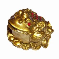 Broasca raioasa aurie pe lotus, cu 8 monede