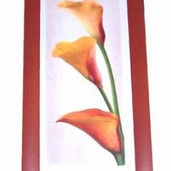 Tablou Feng Shui cu cele 3 flori ale norocului absolut