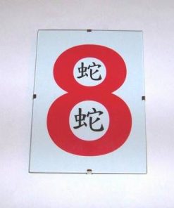 Tablou Feng Shui cu cifra opt si ideograma Sarpelui
