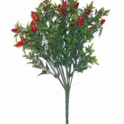 Crenguta Feng Shui cu ardei rosii