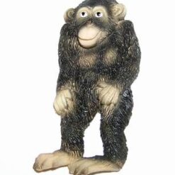 Magnet- Maimuta Inteligentei