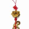 Canaf Feng Shui - crap cu monede