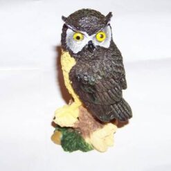 Bufnita succesului in justitie