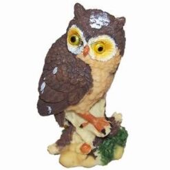 Bufnita succesului la teste si interviuri