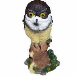 Bufnita succesului peste hotare