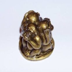 Cele 3 maimute inteligente din tuf auriu