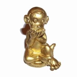 Maimuta aurie pe moneda - cea care nu vorbeste cu raul