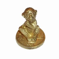 Maimuta aurie a Succesului Academic, pe moneda