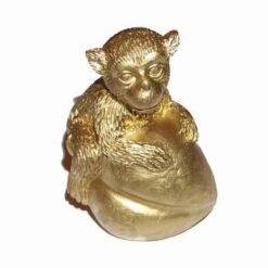 Maimuta aurie cu piersica dragostei