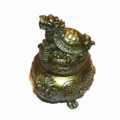 Testoasa Dragon pe vasul abundentei