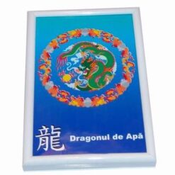 Tablou Feng Shui cu Dragonul de Apa