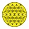Magnet Feng Shui cu Floarea Vietii - galbena