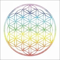 Magnet Feng Shui cu Floarea Vietii - curcubeu