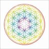 Magnet Feng Shui cu Floarea Vietii - curcubeu