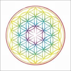 Magnet Feng Shui cu Floarea Vietii - curcubeu