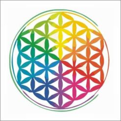 Magnet Feng Shui cu Floarea Vietii - curcubeu