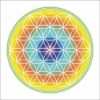 Magnet Feng Shui cu Floarea Vietii - curcubeu