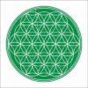 Magnet Feng Shui cu Floarea Vietii - verde