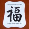 Magnet Feng Shui cu ideograma Norocului