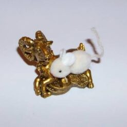 Capra aurie din tuf cu Sobolan din plus alb