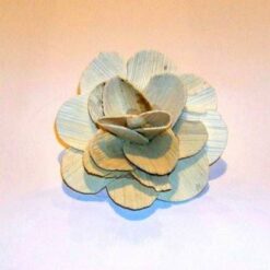 Floarea protectiei pentru acest an