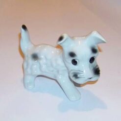 Cainele succesului profesional - remediu Feng Shui