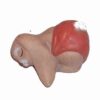 Iepure din ceramica