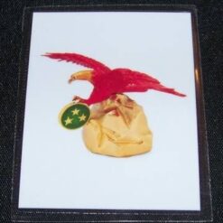 Card Feng Shui cu vulturul rosu - steaua #3