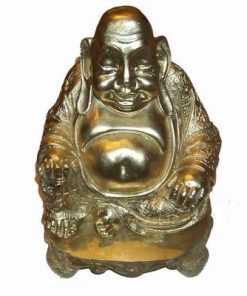 Statuia lui Buddha razand cu pepita