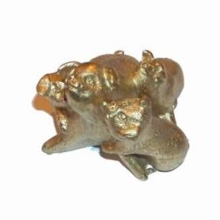 Familie de purceslusi aurii