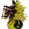 Copacel Yin-Yang - galben cu negru