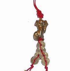 Canaf cu Cainele Abundentei si monede