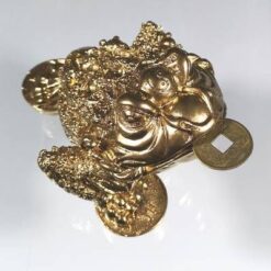 Broasca raioasa cu trei picioare, aurie, lucioasa