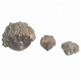 Familie de arici - pentru energie benefica in 2026