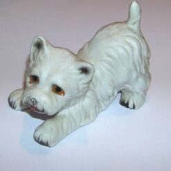 Cainele succesului la invatatura si examene