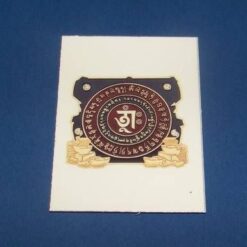 Remediu pentru bogatie - magnet